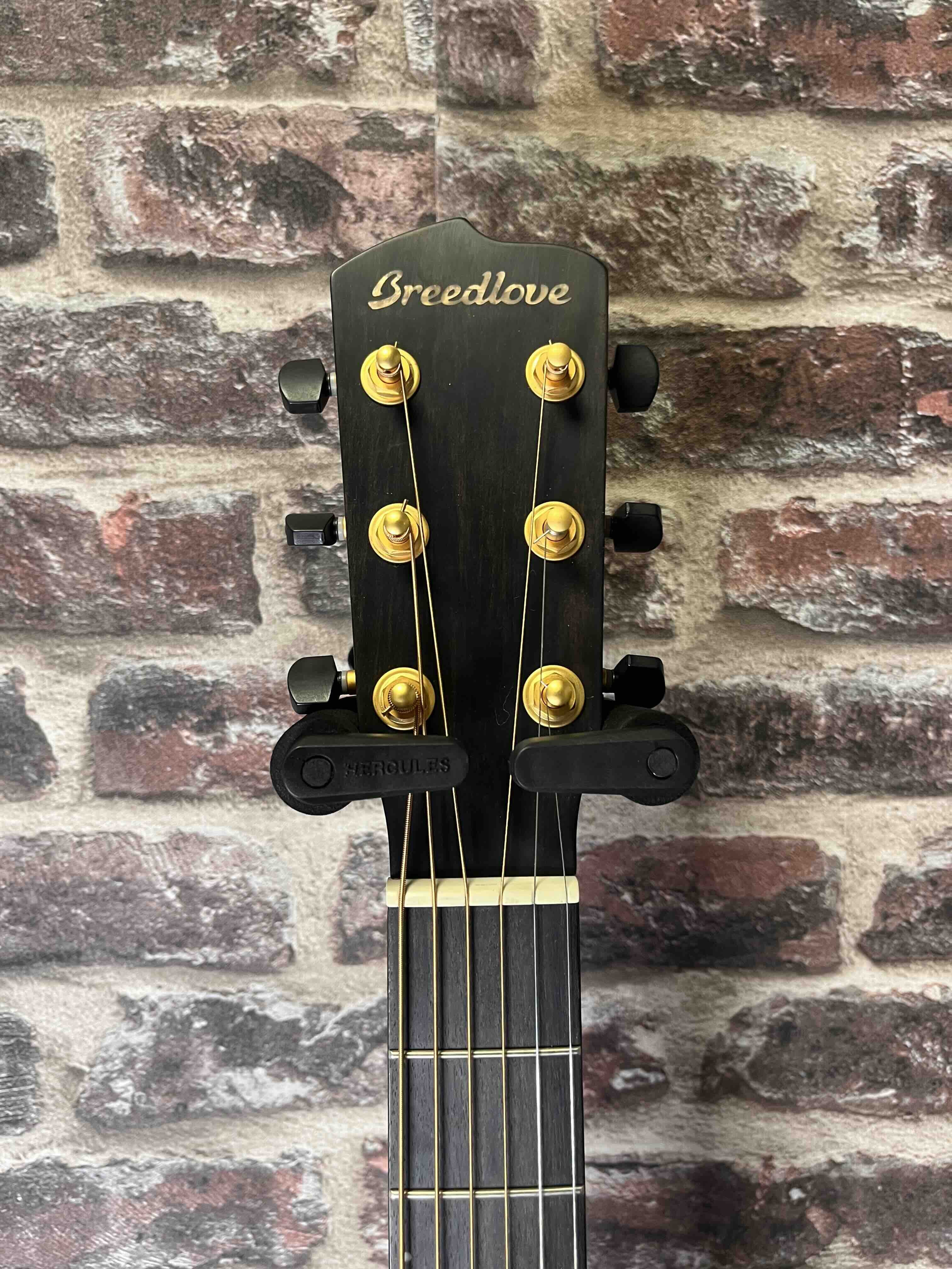 Breedlove Oregon Concertina CE Finition Bourbon Burst