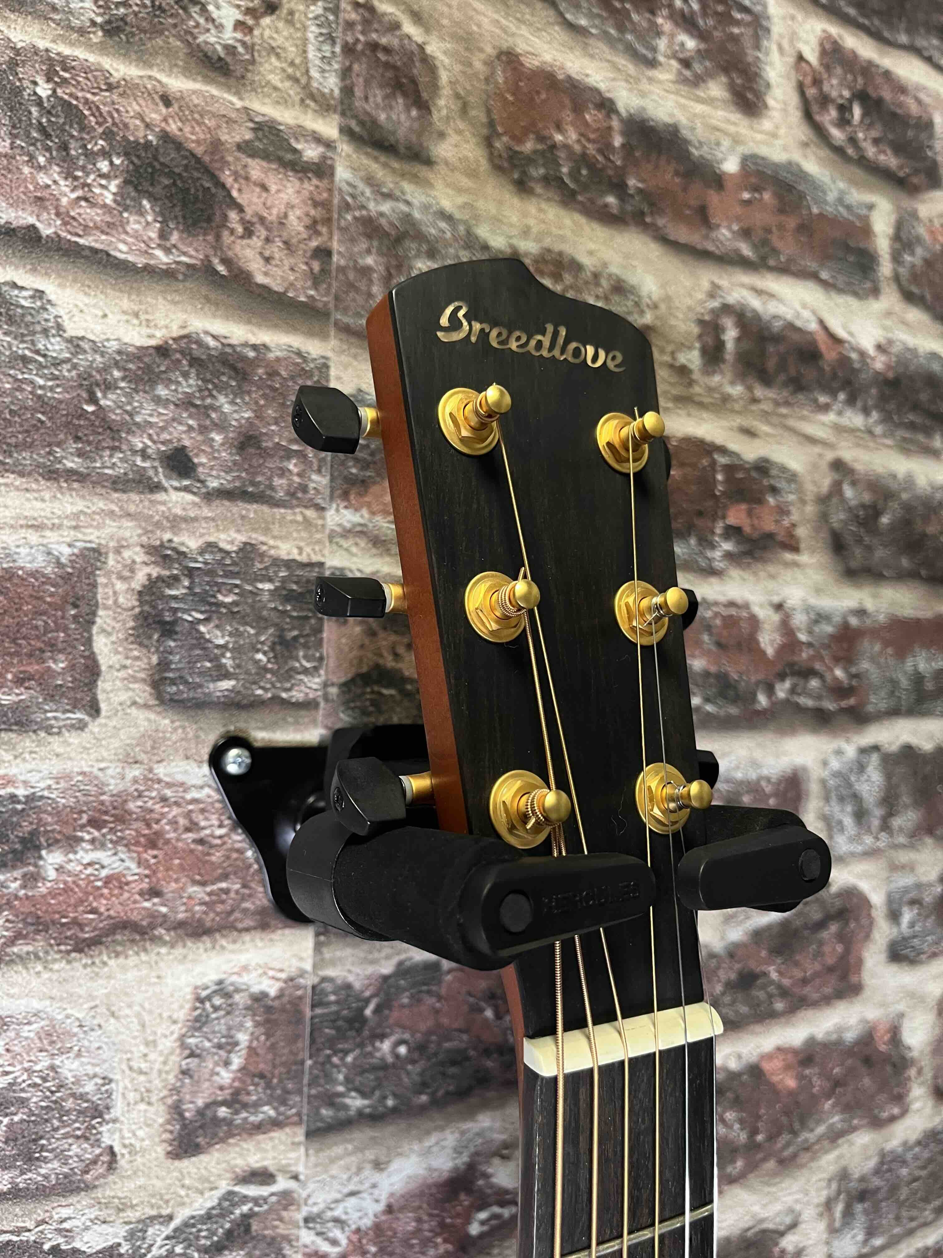 Breedlove Oregon Concertina CE Finition Bourbon Burst