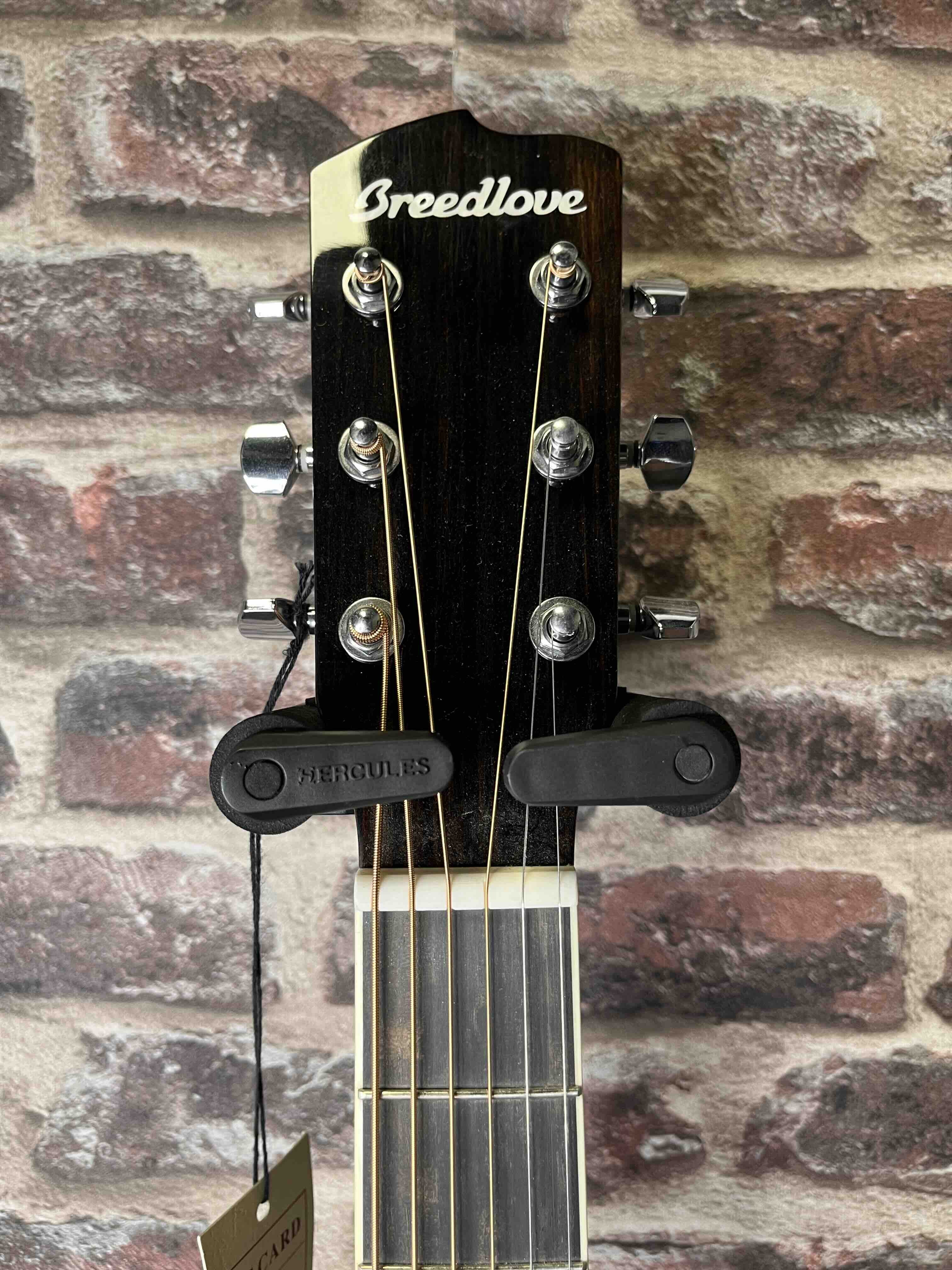 Breedlove Stage concerto