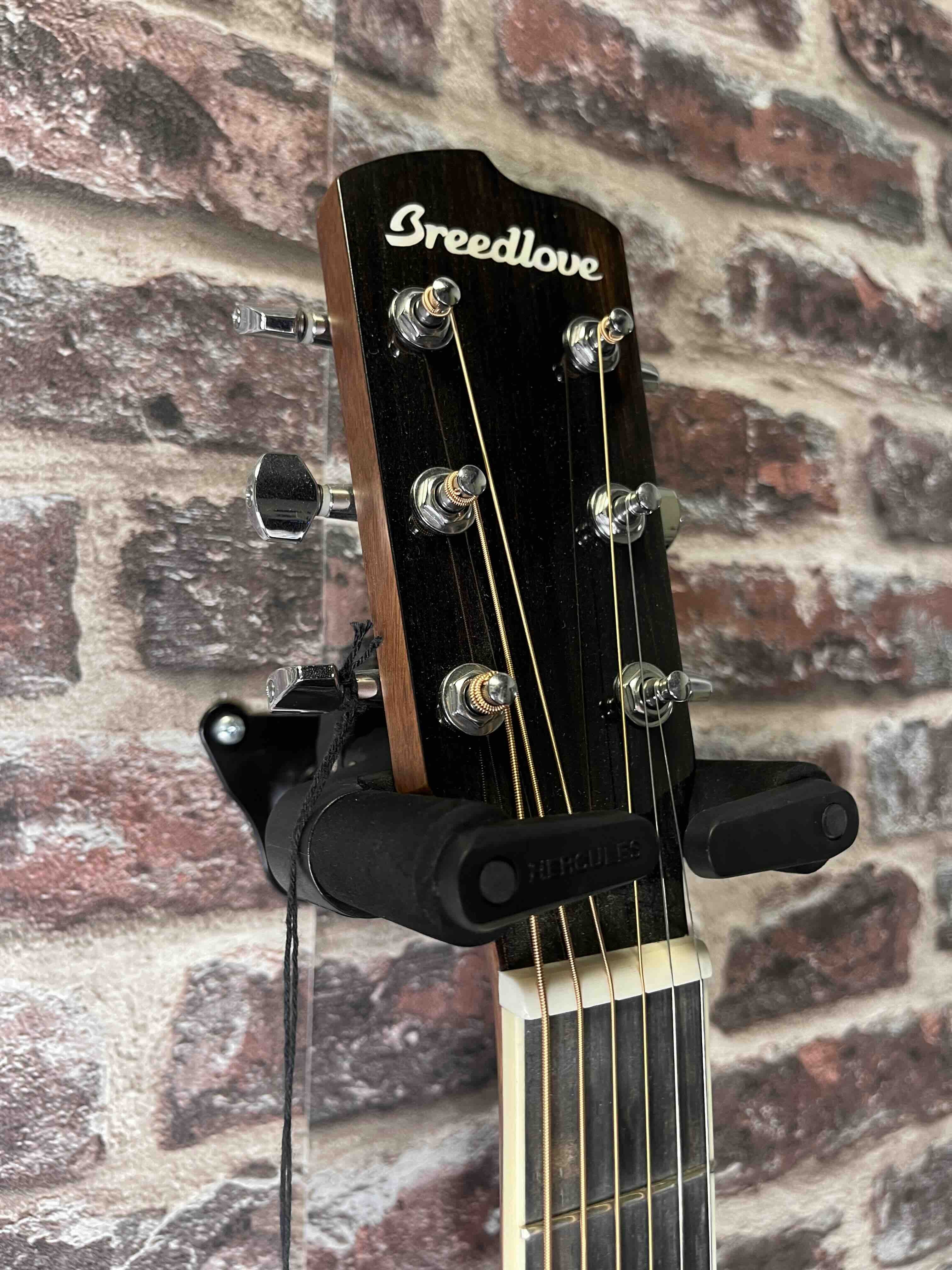 Breedlove Stage concerto