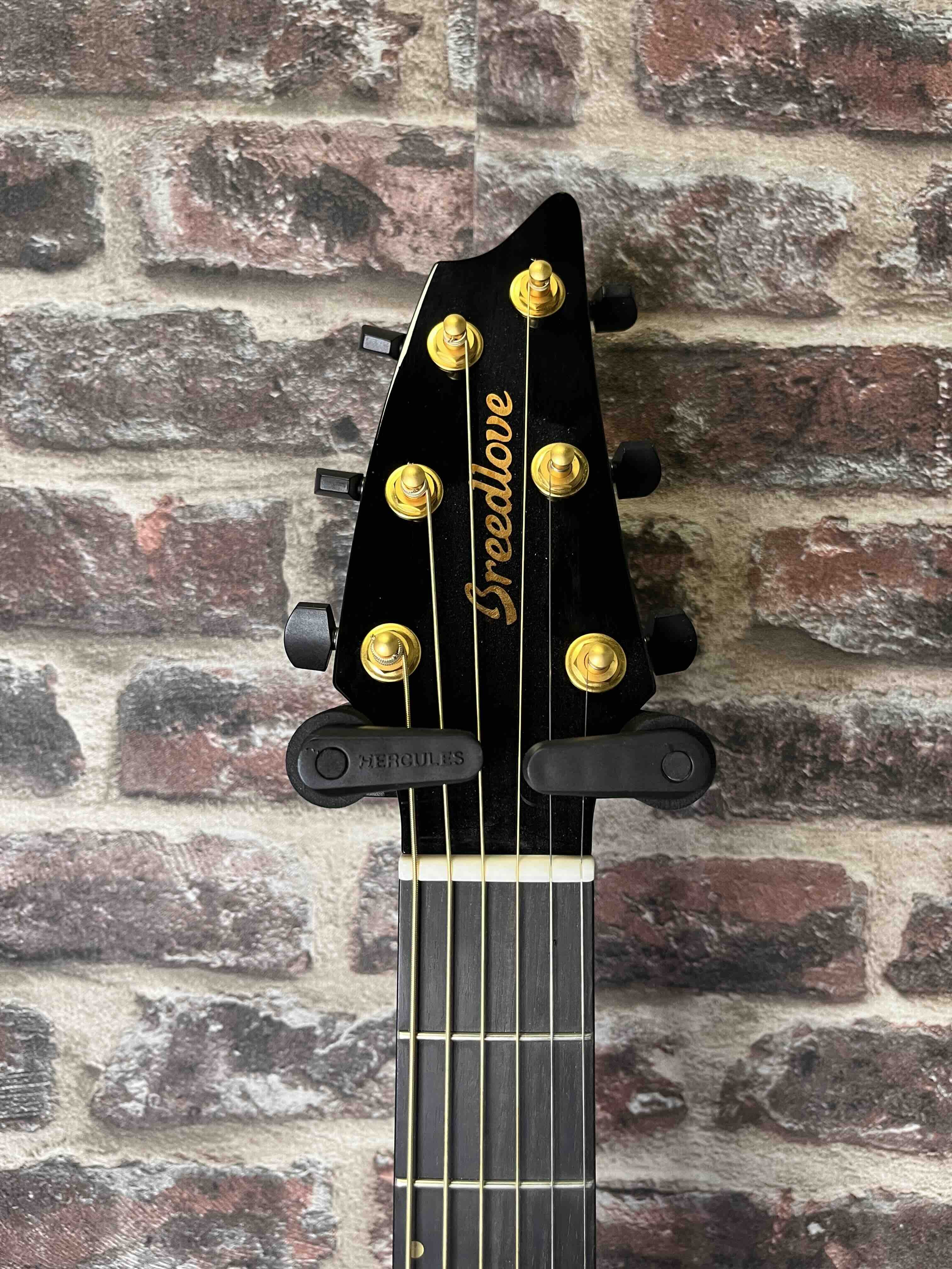 Breedlove Oregon Concert Sunset Burst