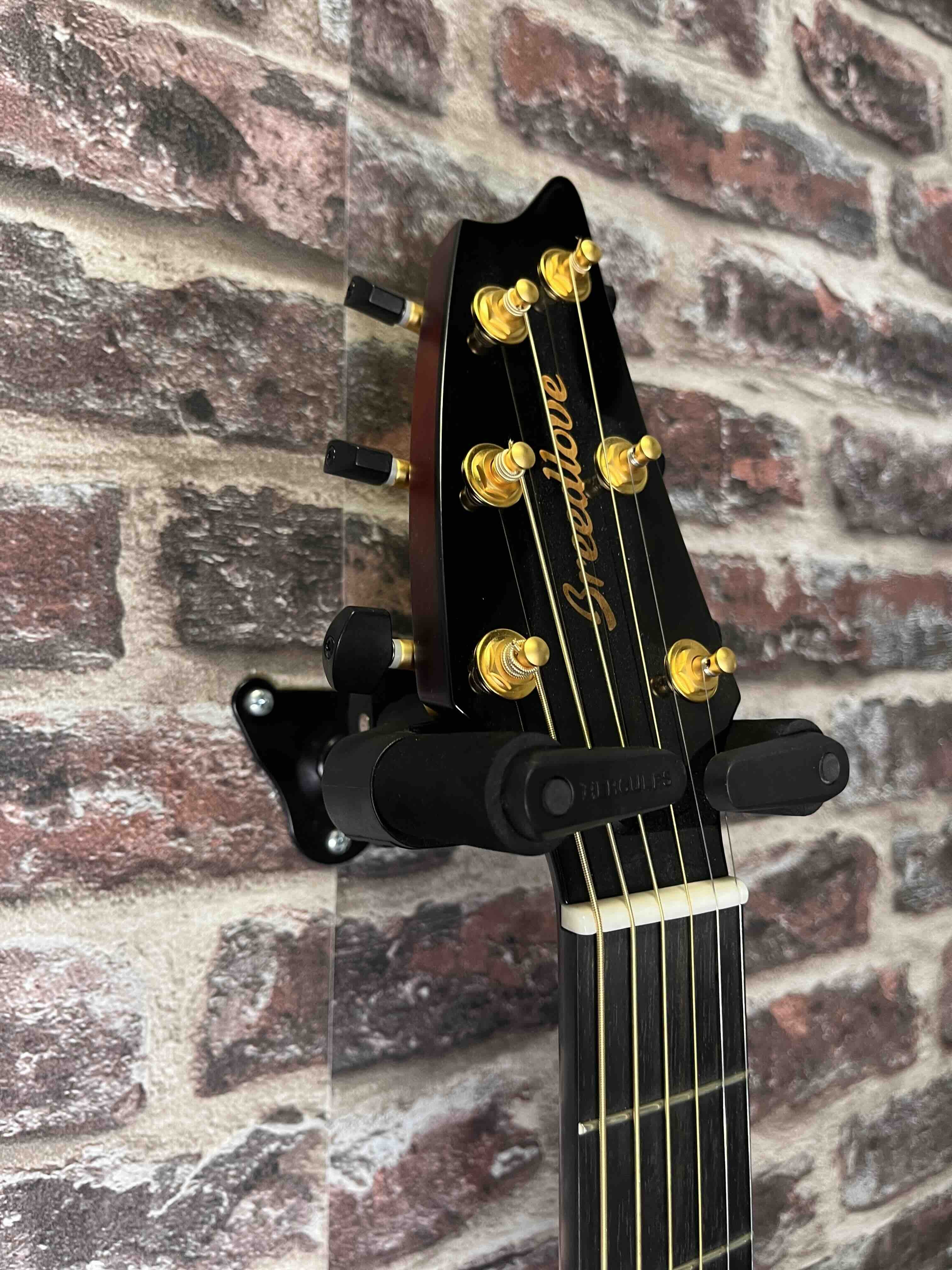 Breedlove Oregon Concert Sunset Burst