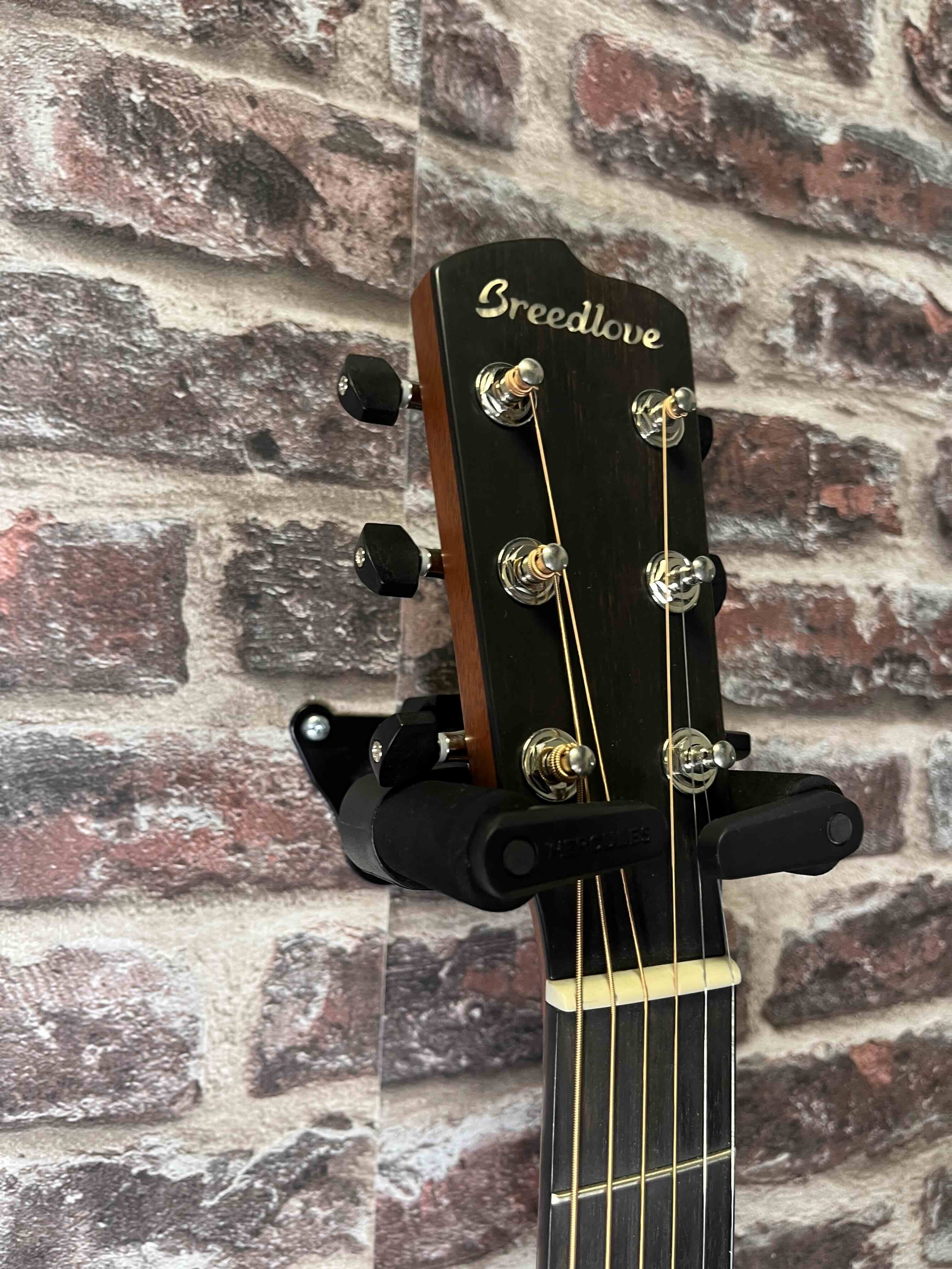 Breedlove Concertina Frontier LR BAGGS