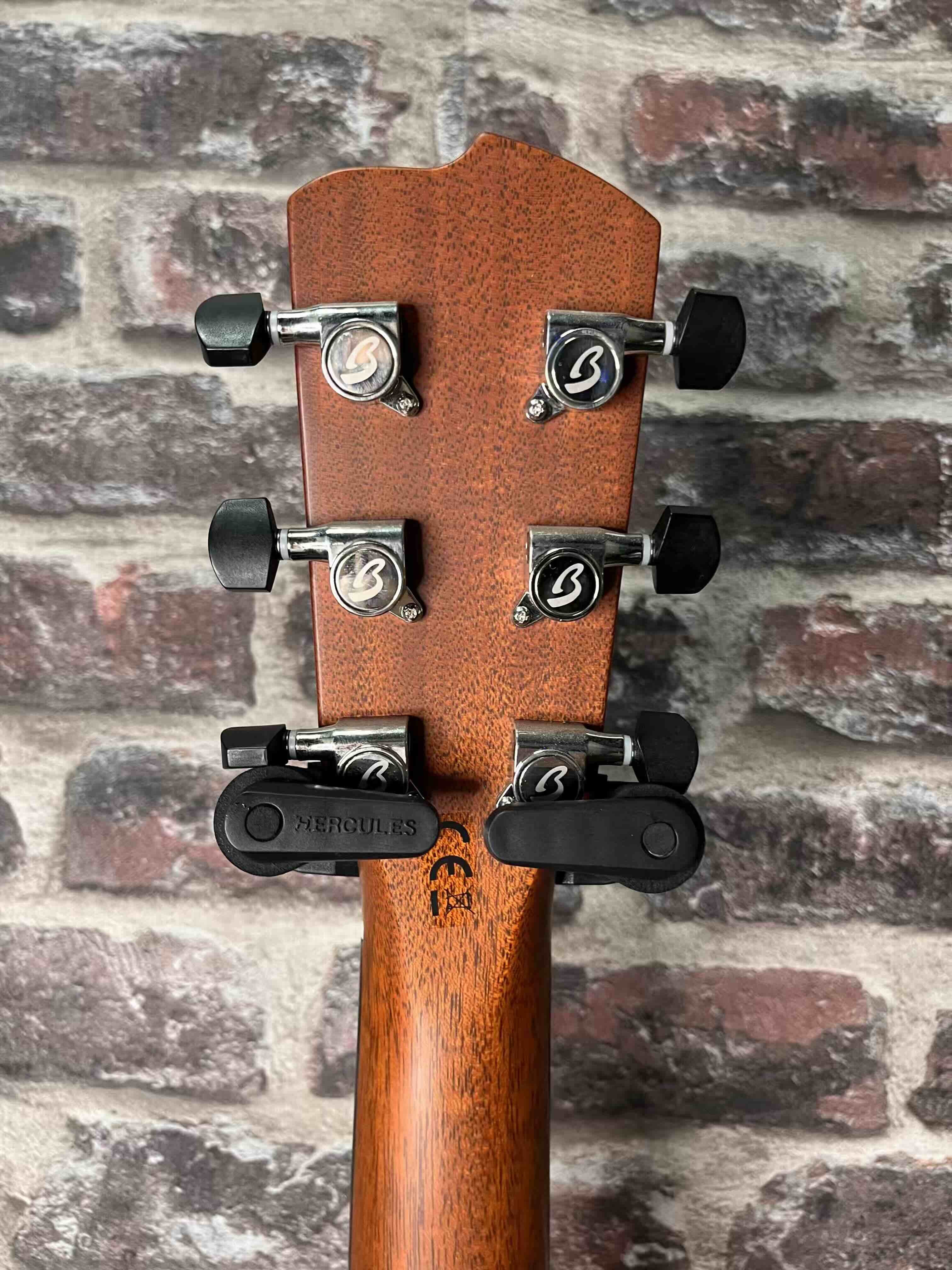 Breedlove Concertina Frontier LR BAGGS