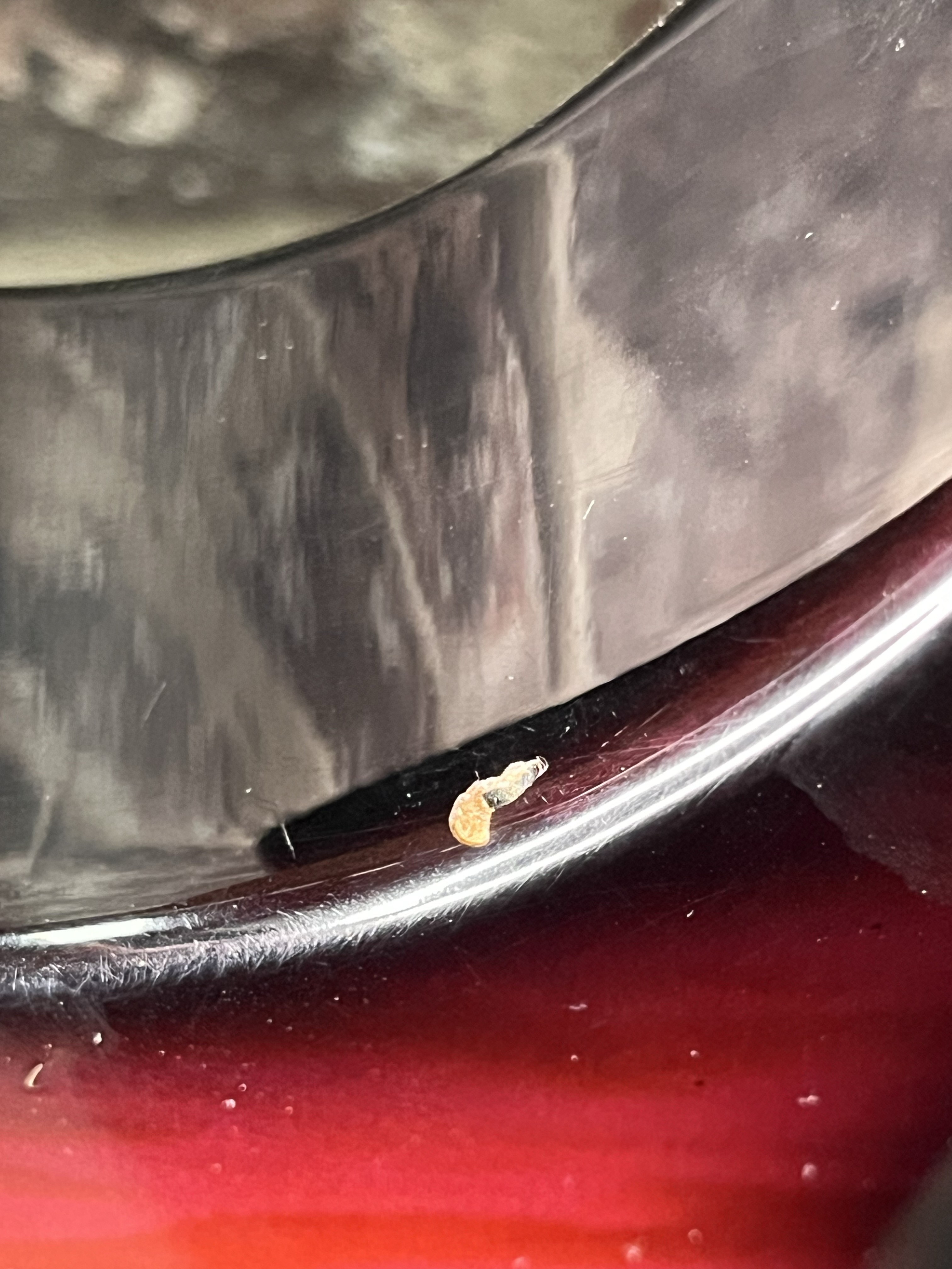 Yamaha PAC 821 DX Magenta Burst OCCASION