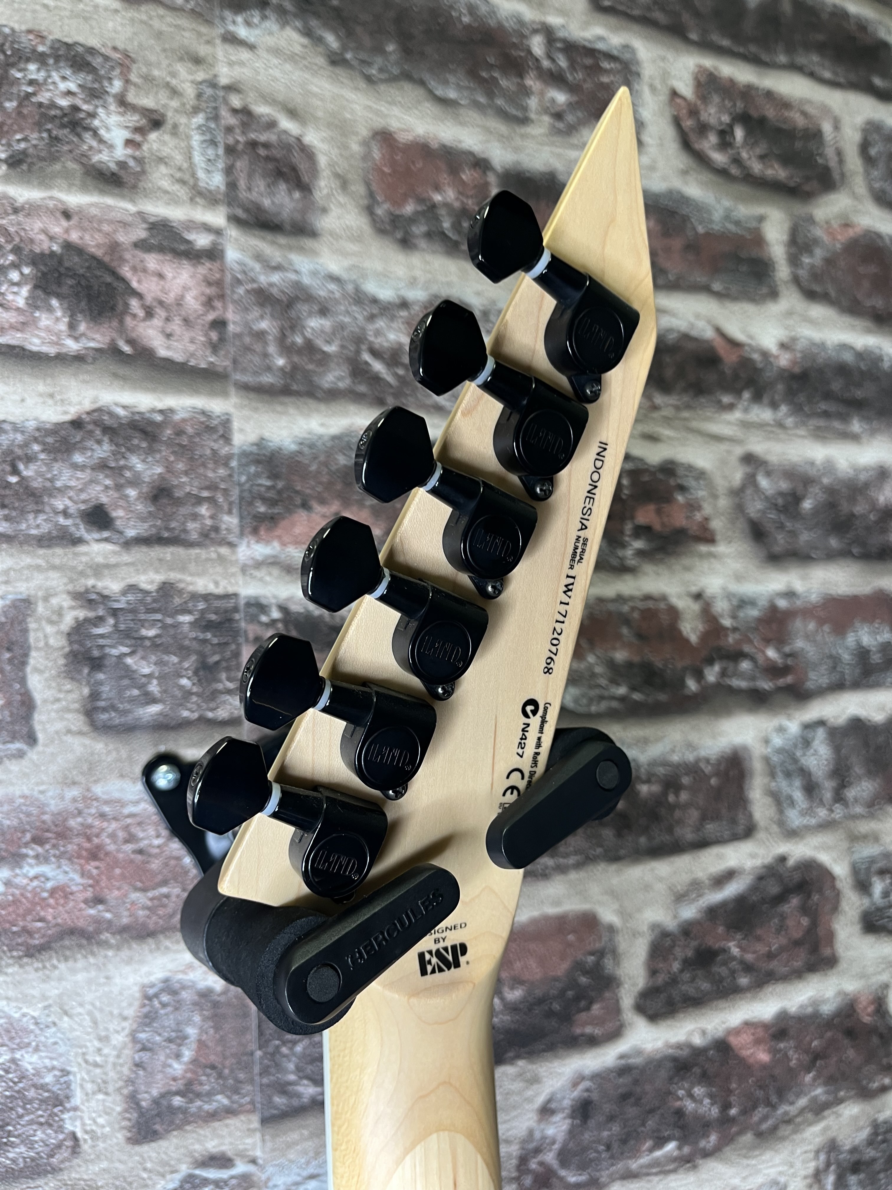 LTD M-200 Black OCCASION