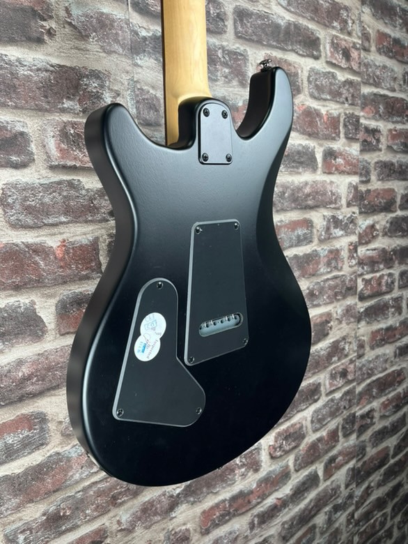 PRS SE Swamp Ash CE 24 Édition Limitée Sandblasted – Violet