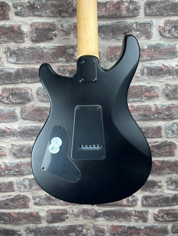 PRS SE Swamp Ash CE 24 Édition Limitée Sandblasted – Violet