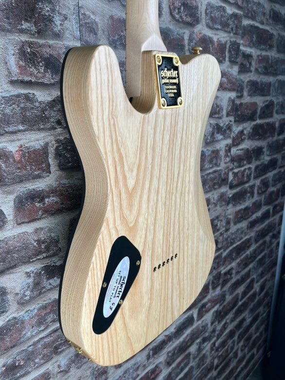 Schecter Meegs PT EX