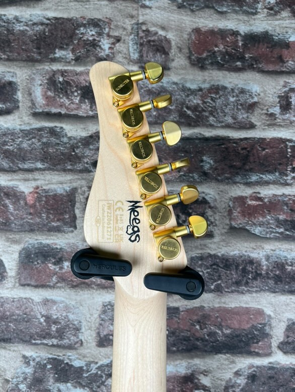 Schecter Meegs PT EX