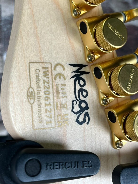 Schecter Meegs PT EX