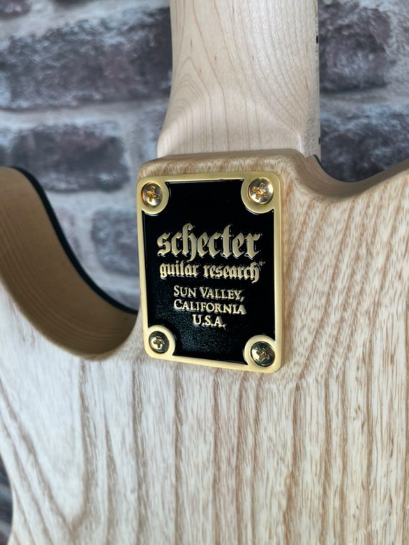 Schecter Meegs PT EX