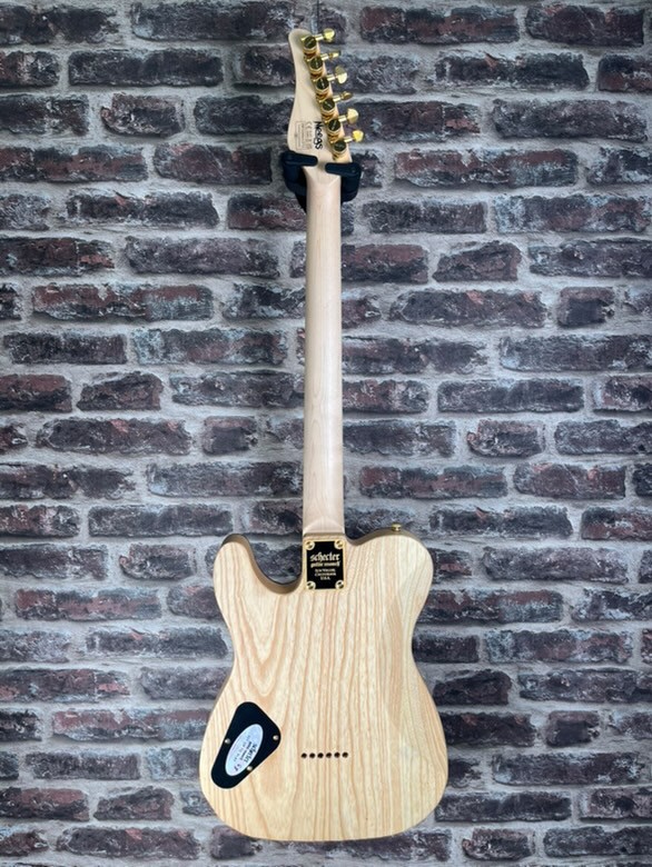 Schecter Meegs PT EX