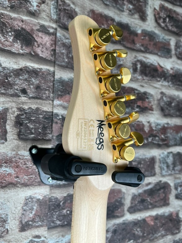 Schecter Meegs PT EX