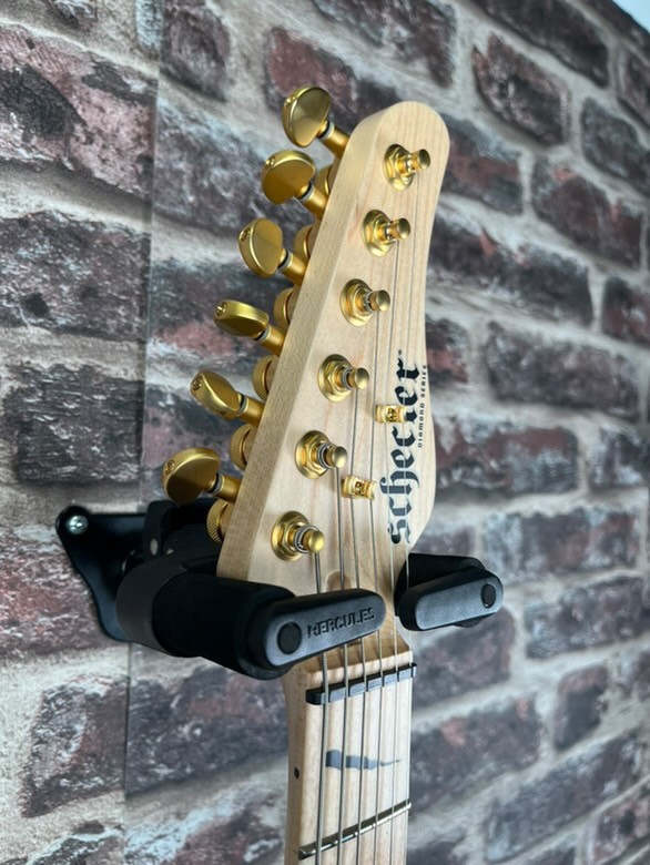 Schecter Meegs PT EX