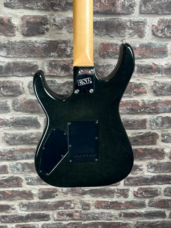 Edwards Snapper HSH OCCASION