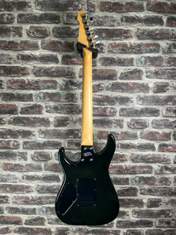 Edwards Snapper HSH OCCASION