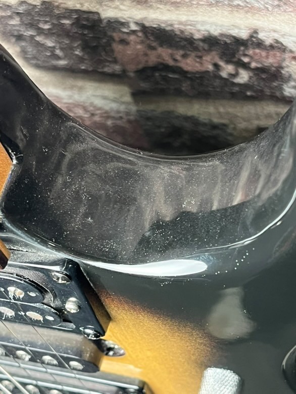 Edwards Snapper HSH OCCASION