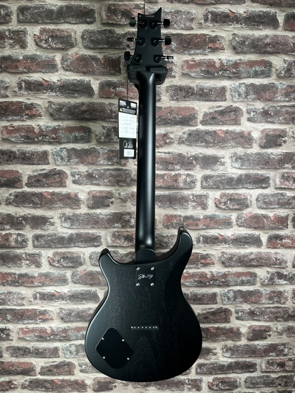 PRS Dustie Waring CE‑24 Jade Smokeburst LTD