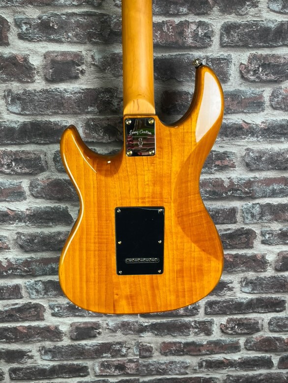 LARRY Carlton S10 nat