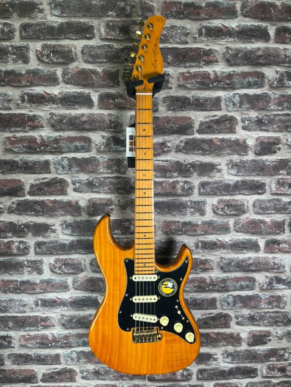 LARRY Carlton S10 nat