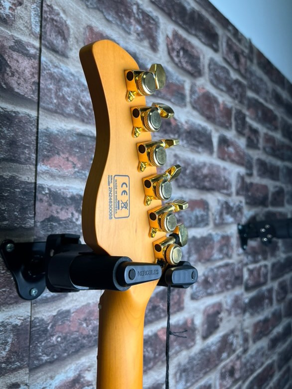 LARRY Carlton S10 nat