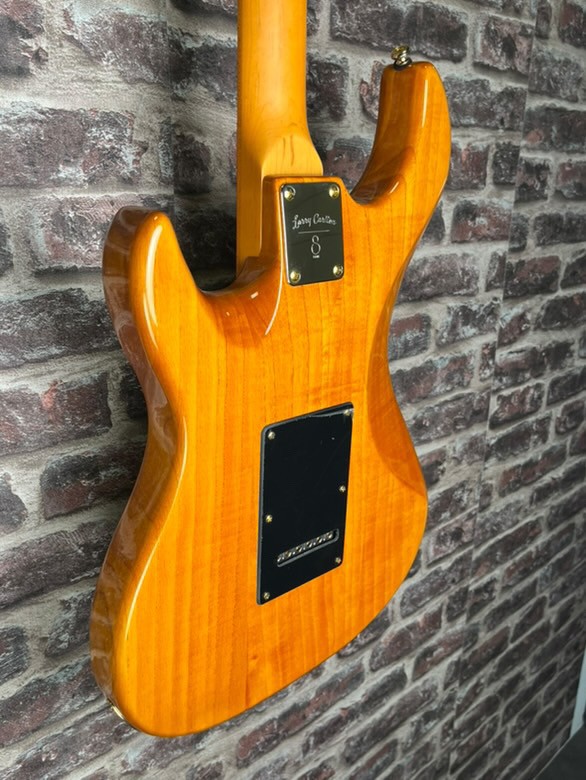 LARRY Carlton S10 nat