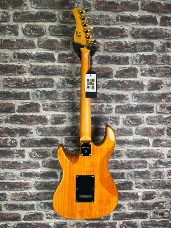 LARRY Carlton S10 nat