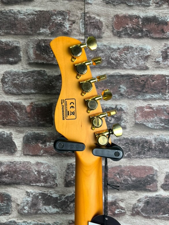 LARRY Carlton S10 nat