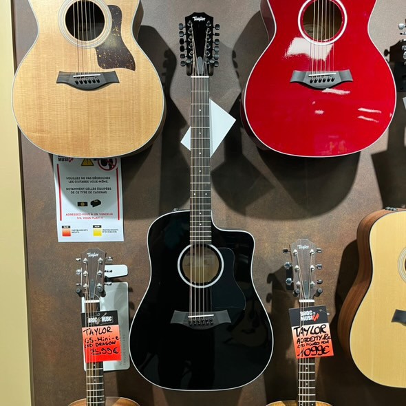Taylor 250ce‑BLK Plus