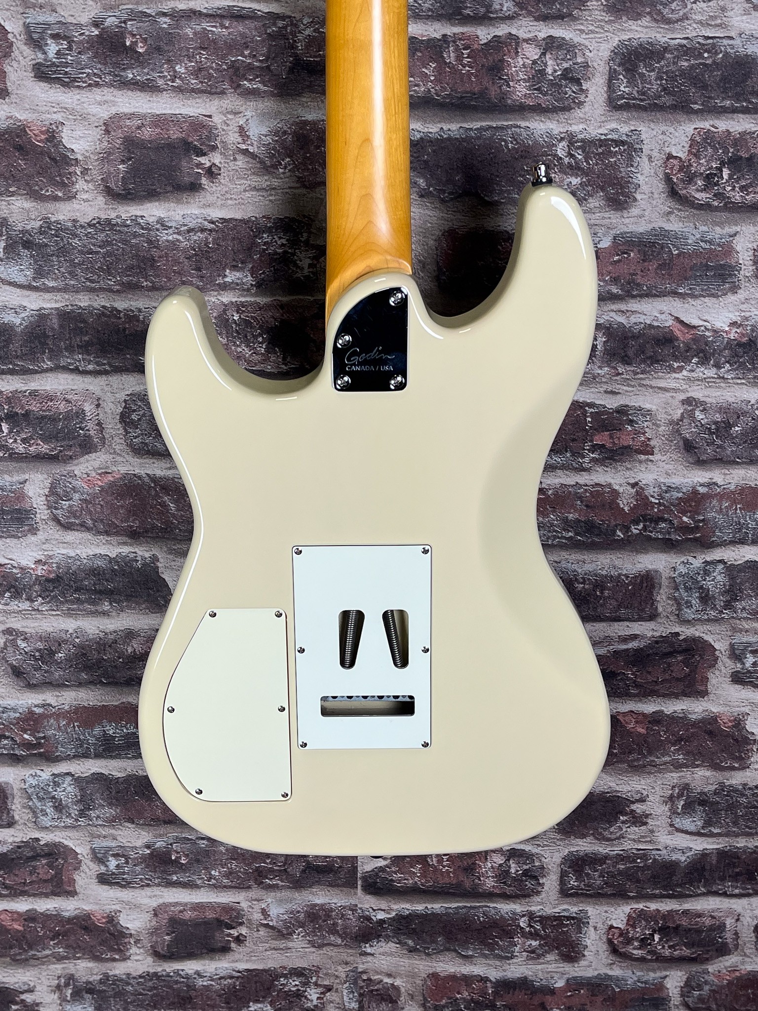 Godin Session HT OCCASION