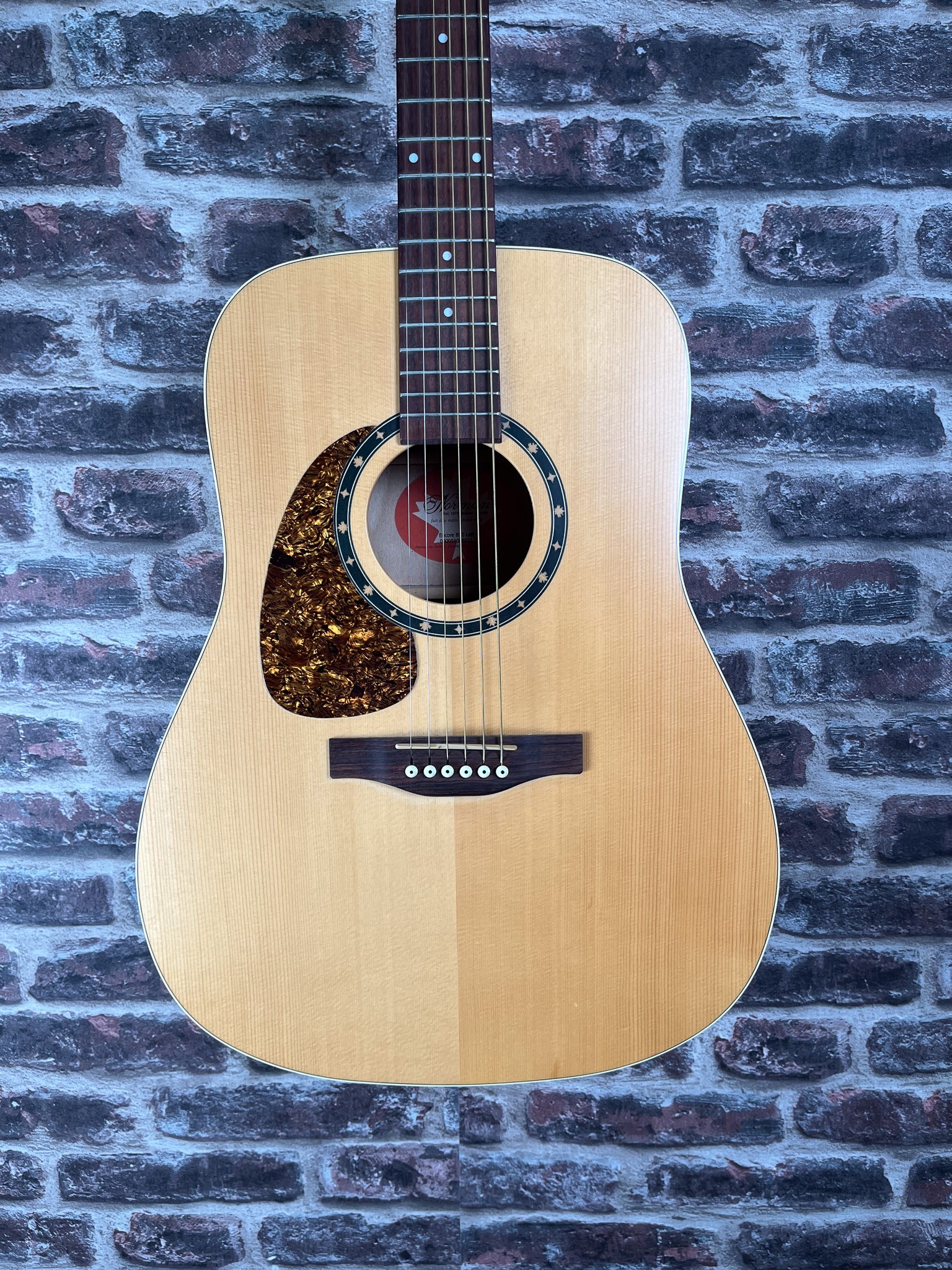 Norman Encore B20 Dreadnought LH OCCASION
