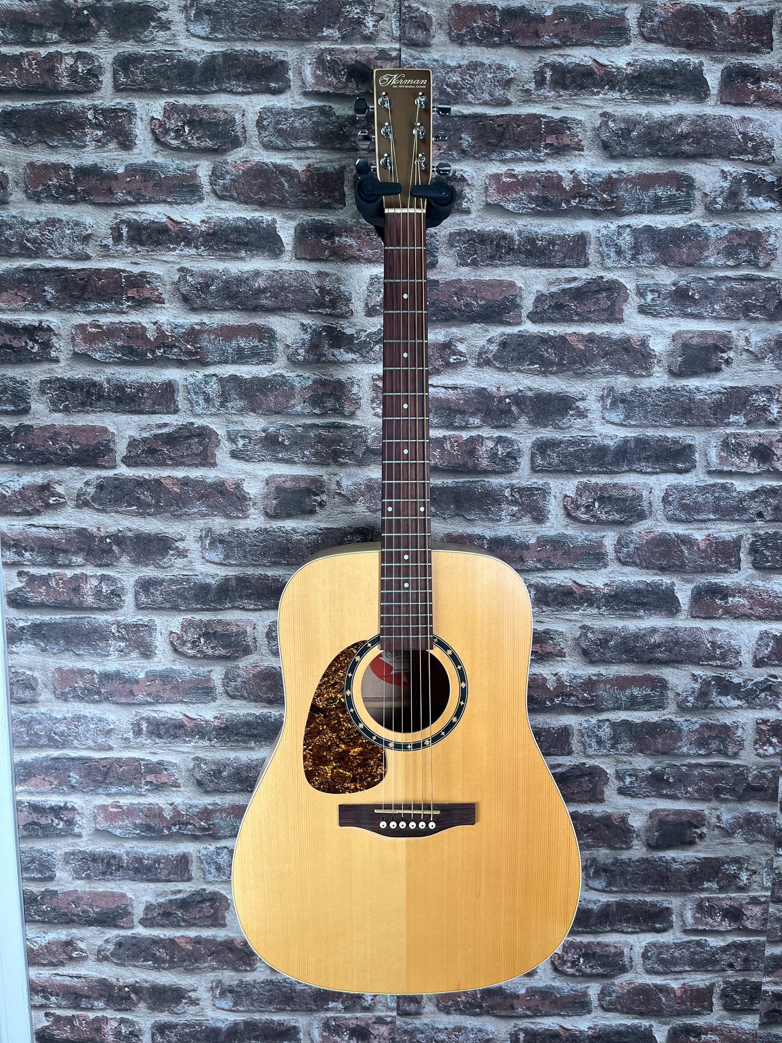 Norman Encore B20 Dreadnought LH OCCASION