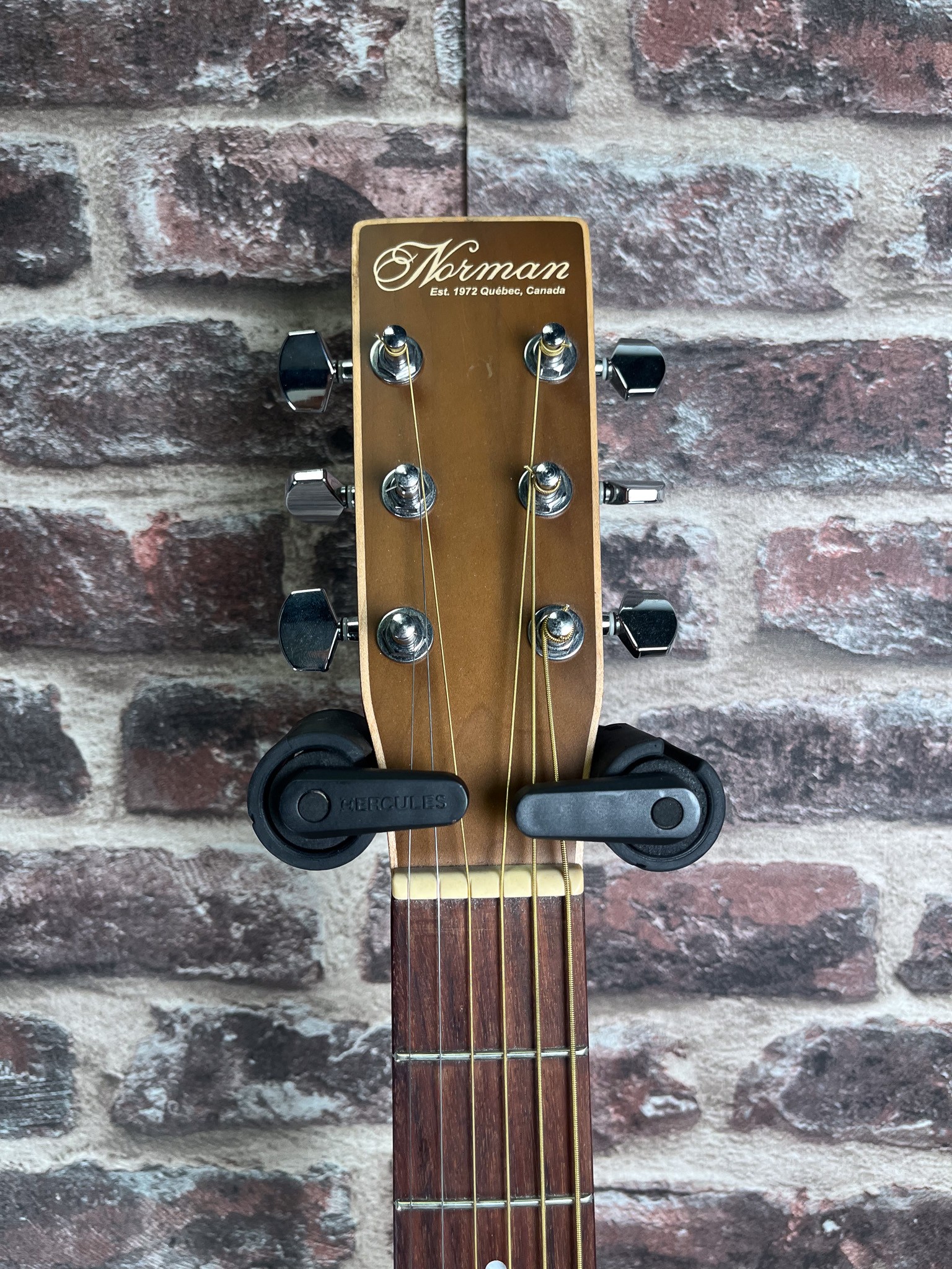 Norman Encore B20 Dreadnought LH OCCASION