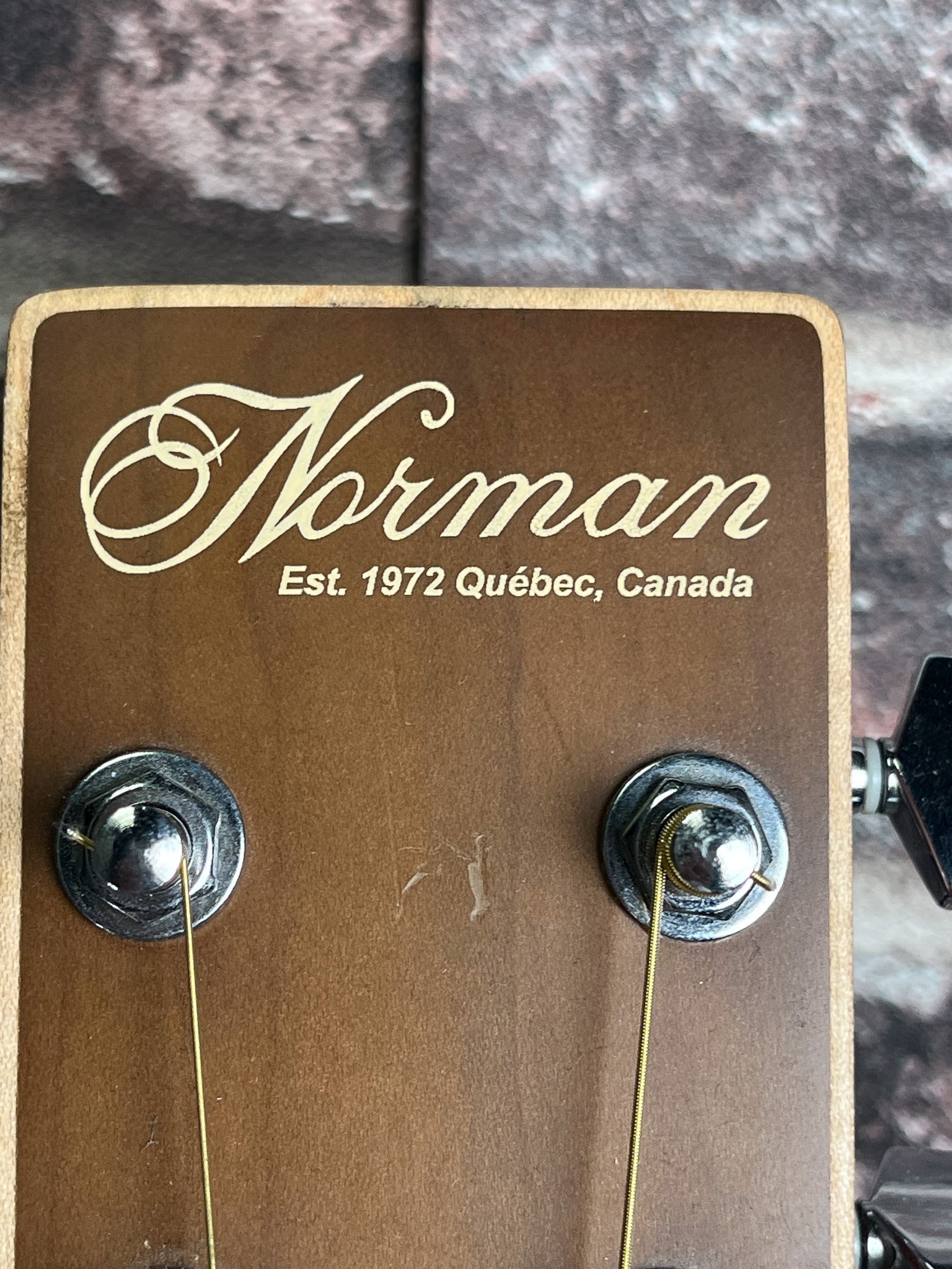 Norman Encore B20 Dreadnought LH OCCASION