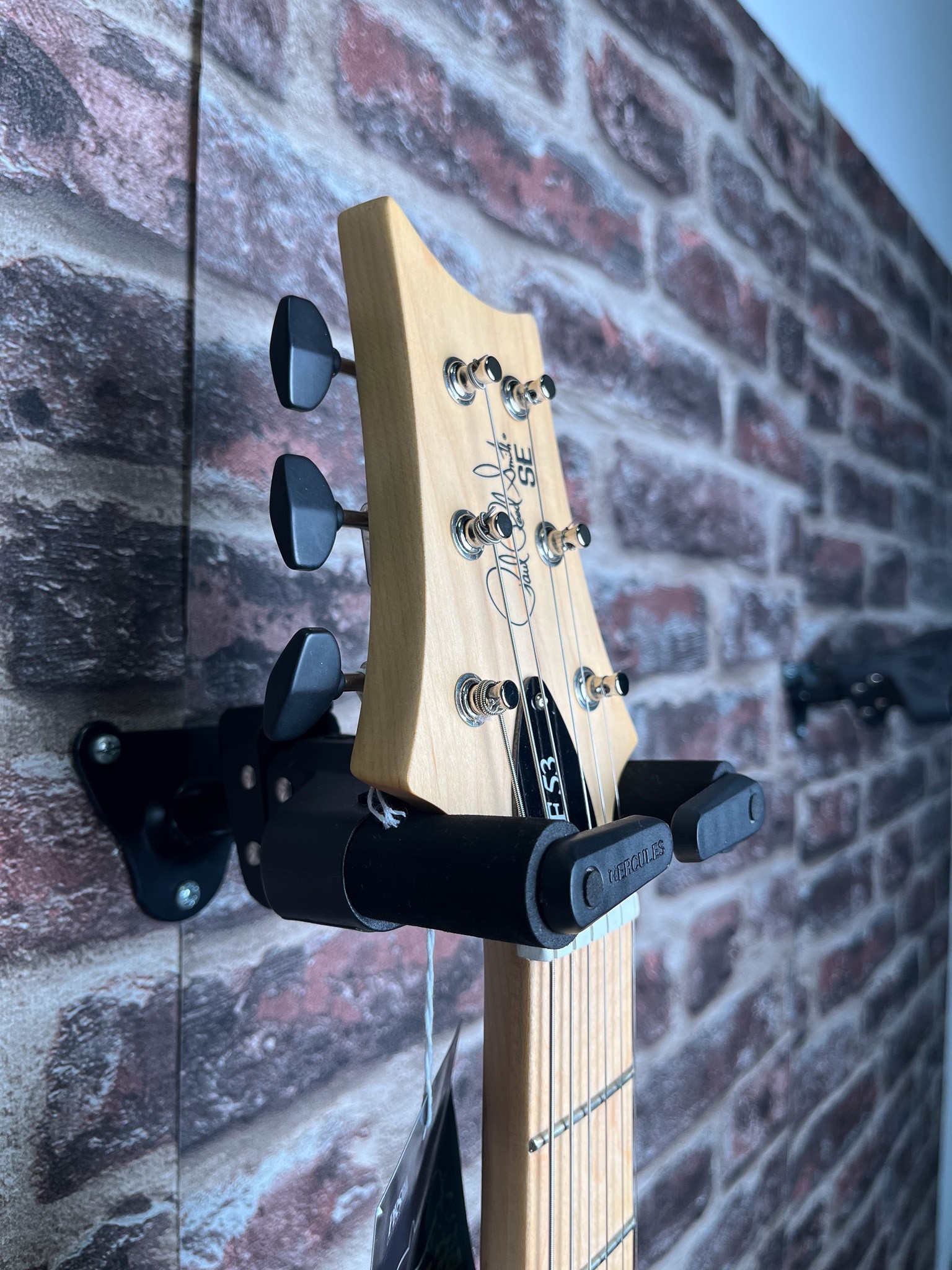 PRS SE NF 53 White Doghair