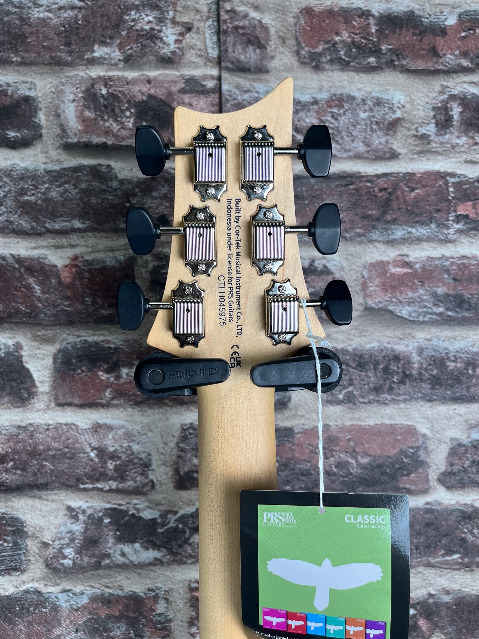 PRS SE NF 53 White Doghair