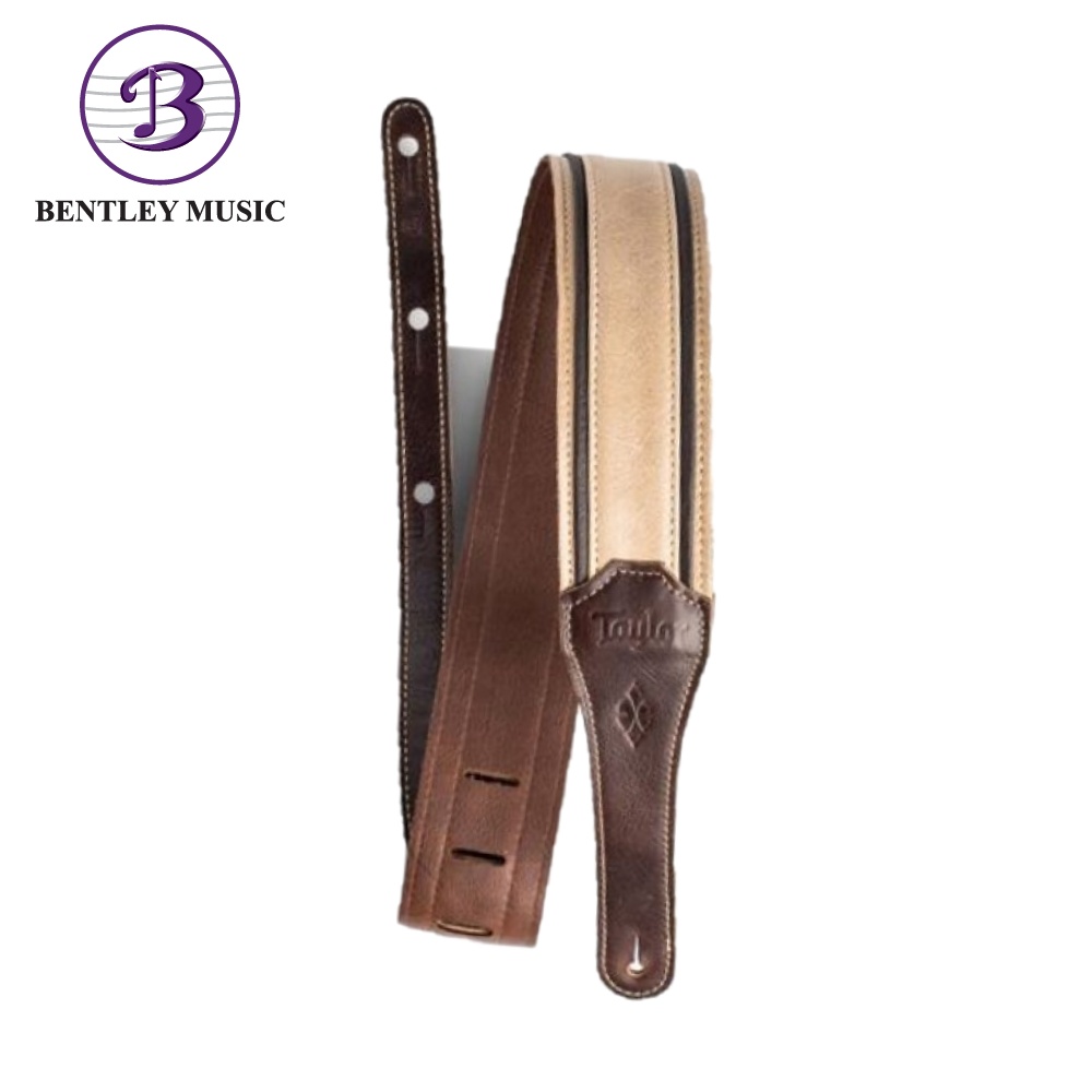 4111-25 Taylor Reflections Strap,Spruce/Ebony Lthr,2.5