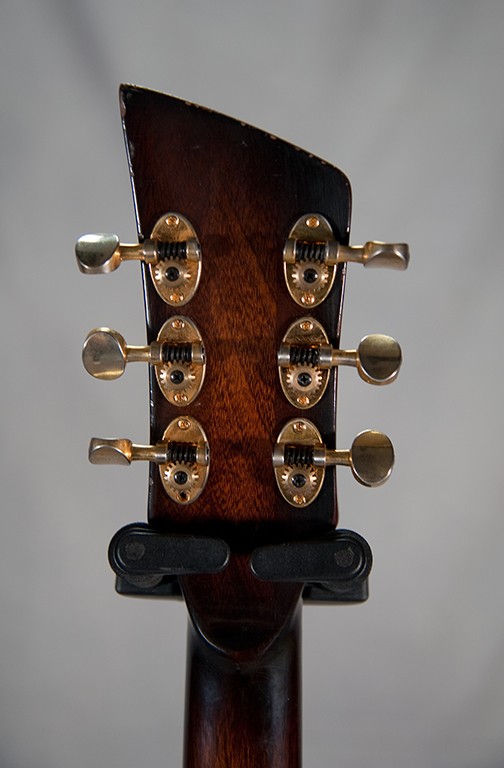 Wild Customs Firewild