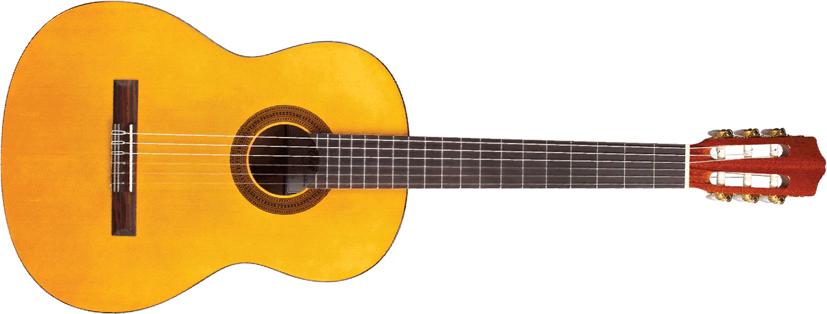 Cordoba Protégé C1