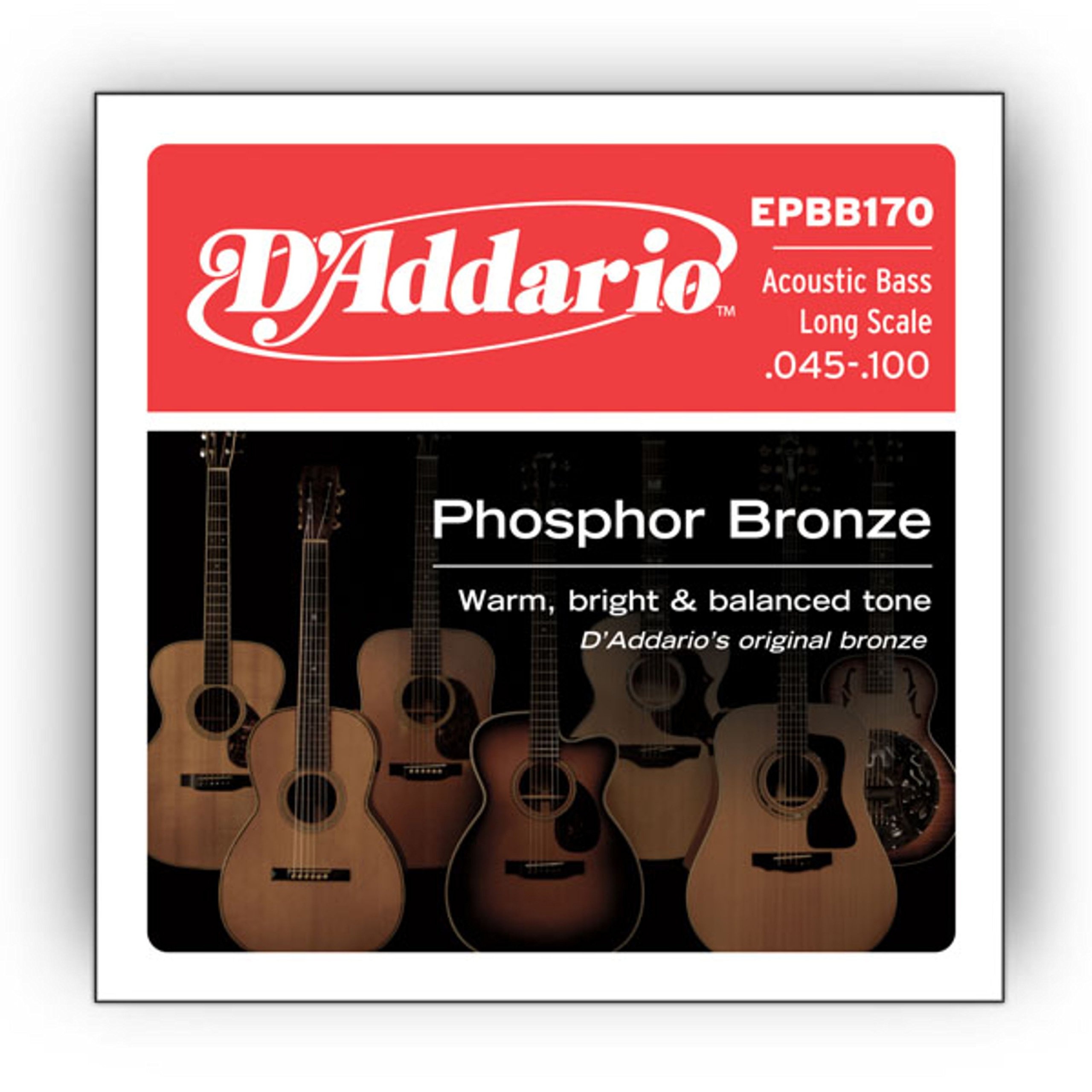 DAddario Phosphore Bronze EPBB170 45-100