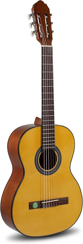 GEWA Solid Top 7/8 OCCASION