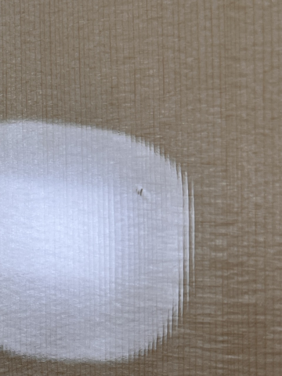 Yamaha LL16-12 ARE Nat 12 cordes OCCASION