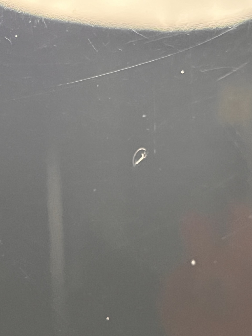 Squier Mini Stratocaster