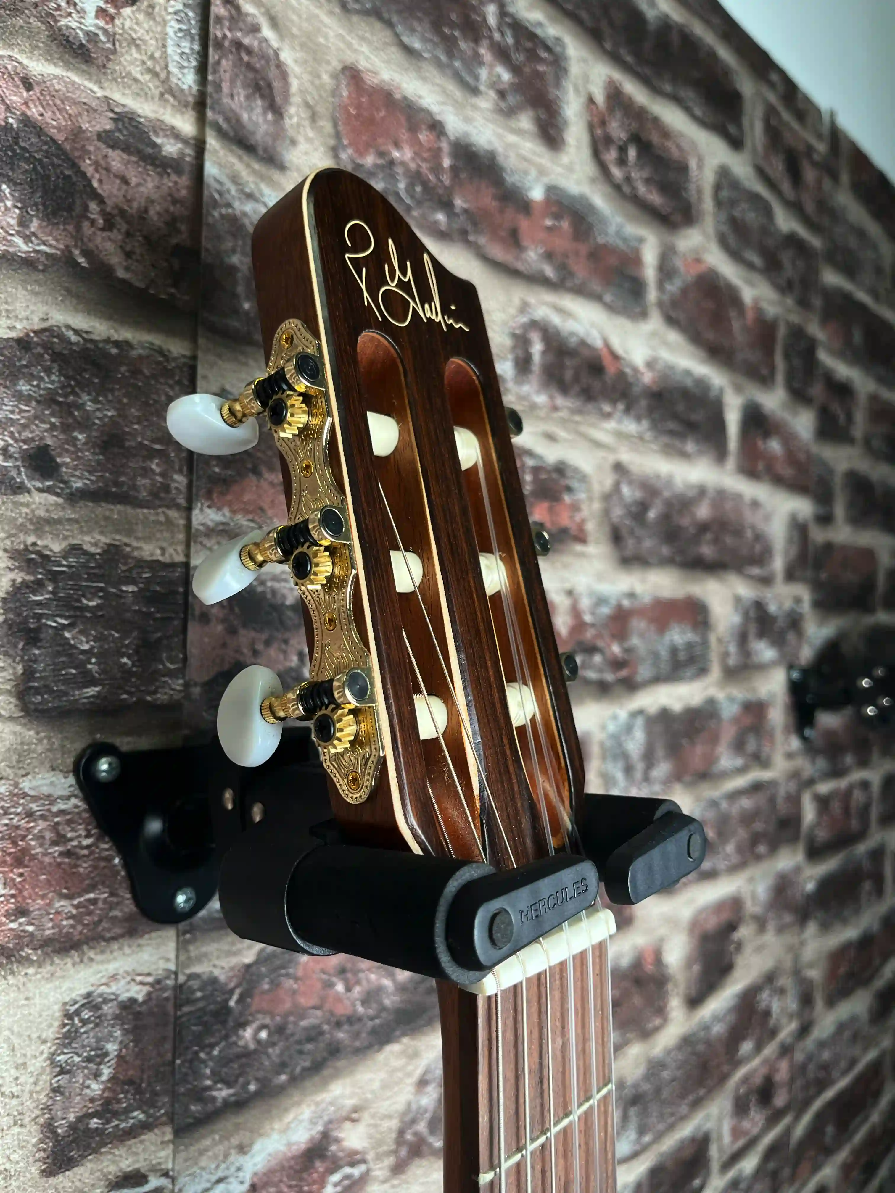 Godin Motif Clasica II OCCASION