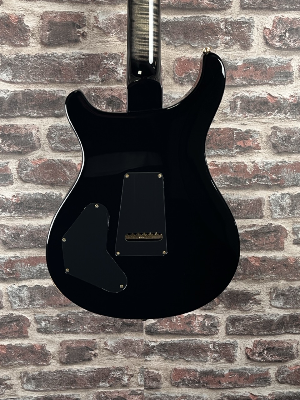 PRS DGT Birds 10 Top Charcoal OCCASION