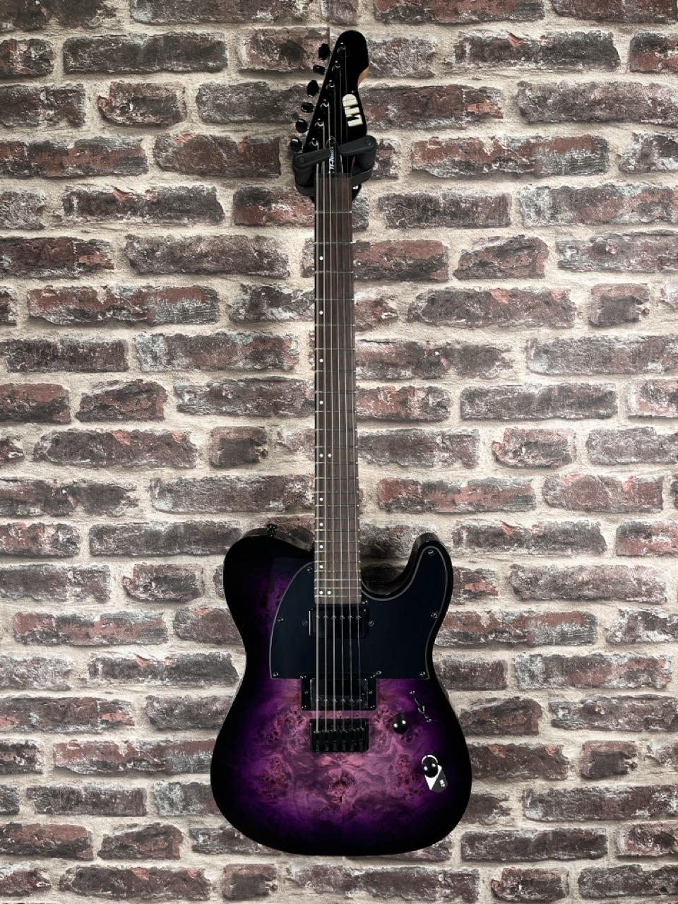 LTD TE‑200DX Purple Burst