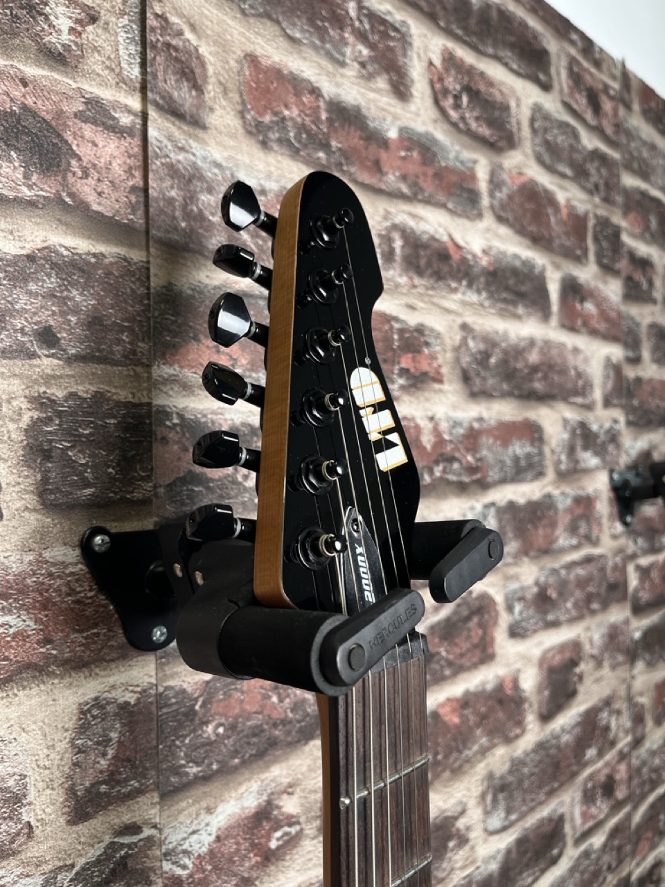 LTD TE‑200DX Purple Burst