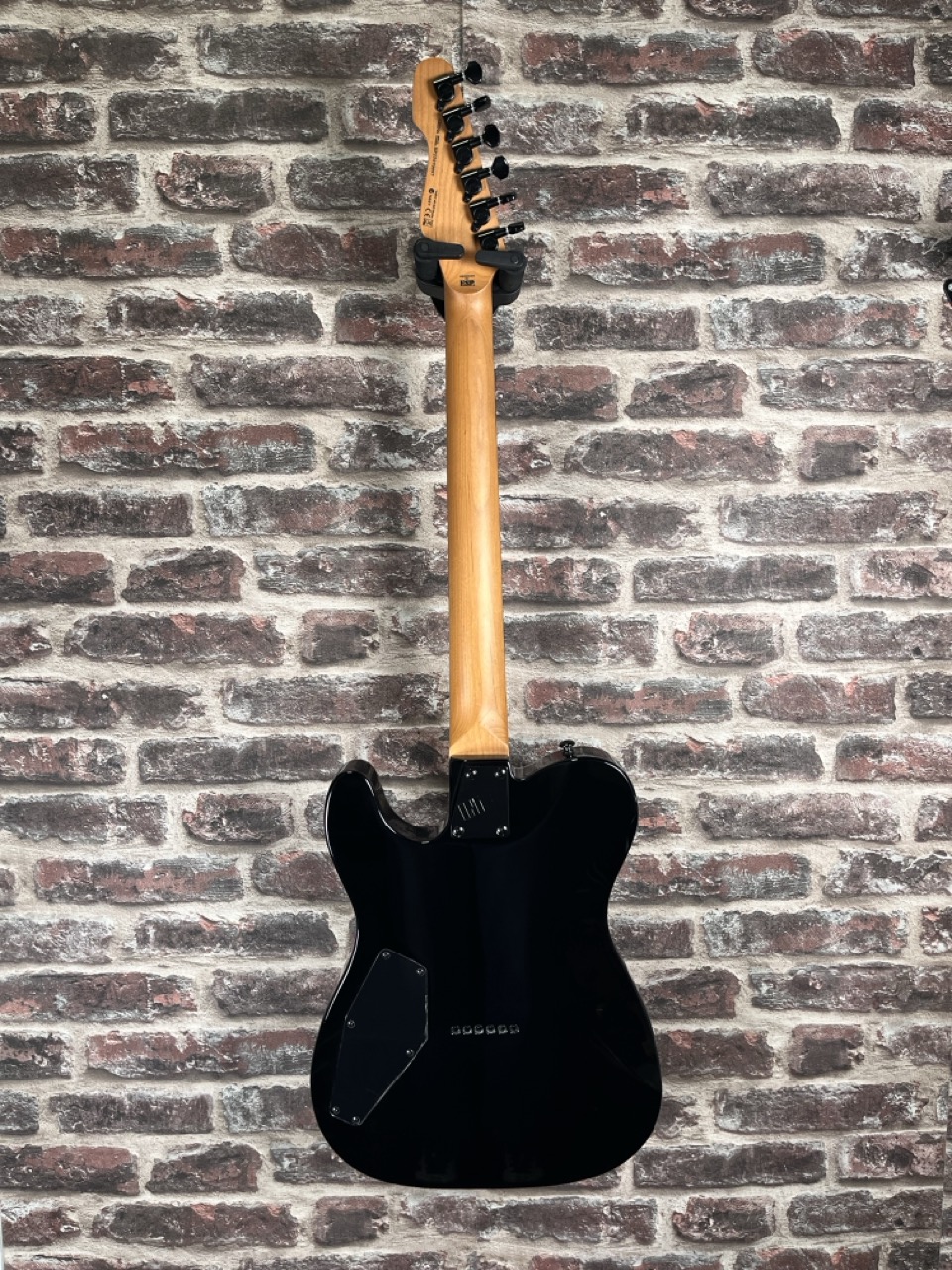 LTD TE‑200DX Purple Burst