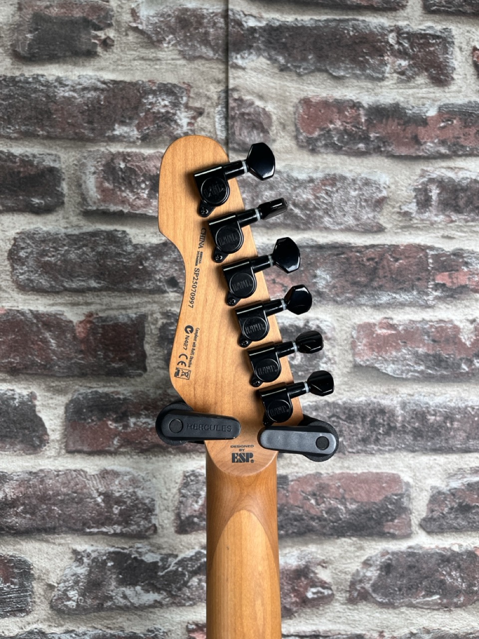 LTD TE‑200DX Purple Burst